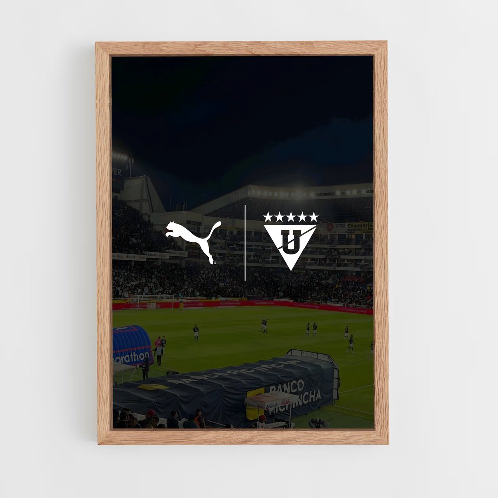 ap-ldu quito-5 cadre Bois clair