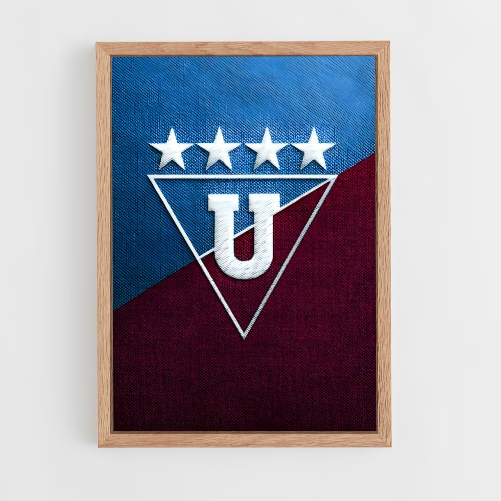 ap-ldu quito-7 cadre Bois clair