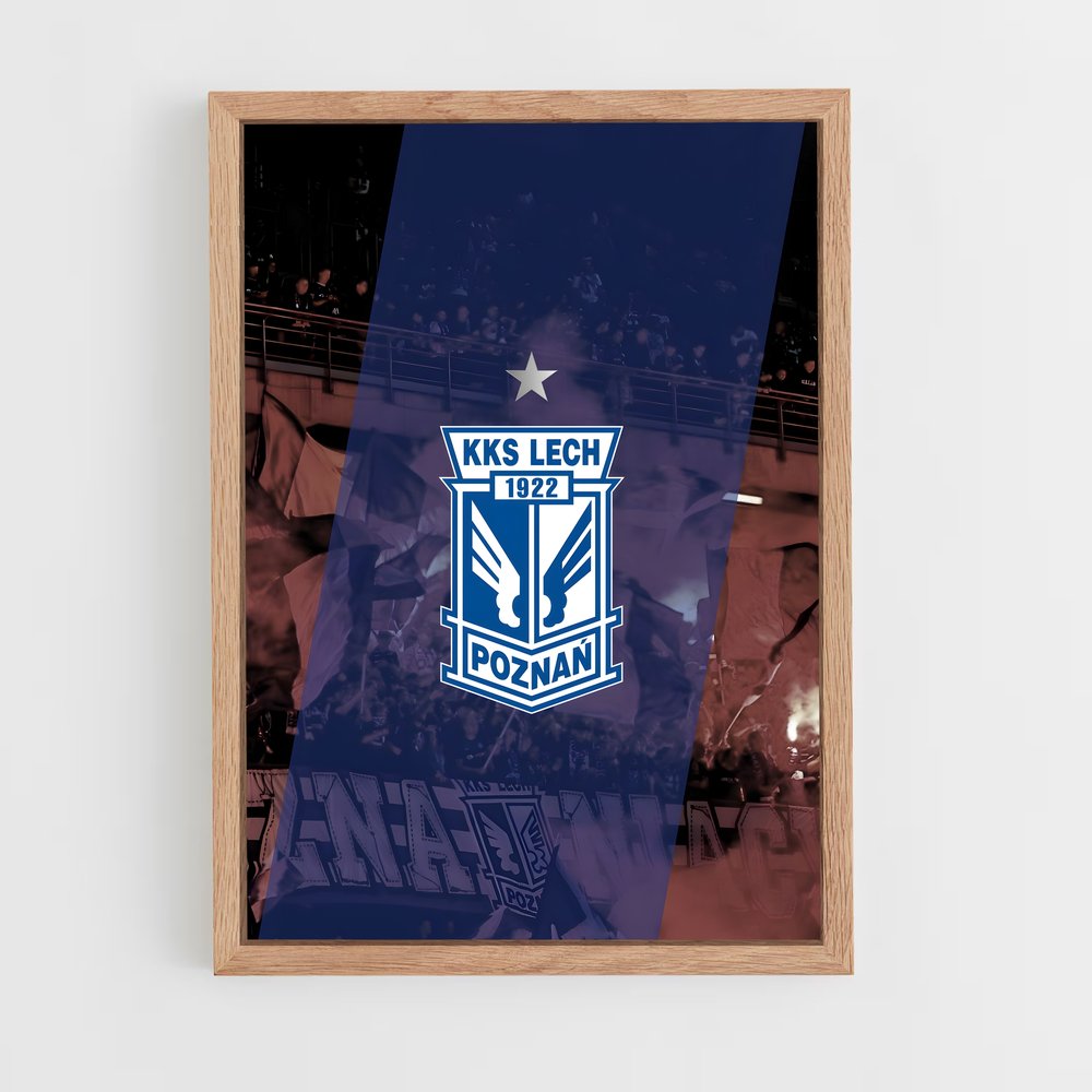 ap-lech poznan-5 cadre Bois clair