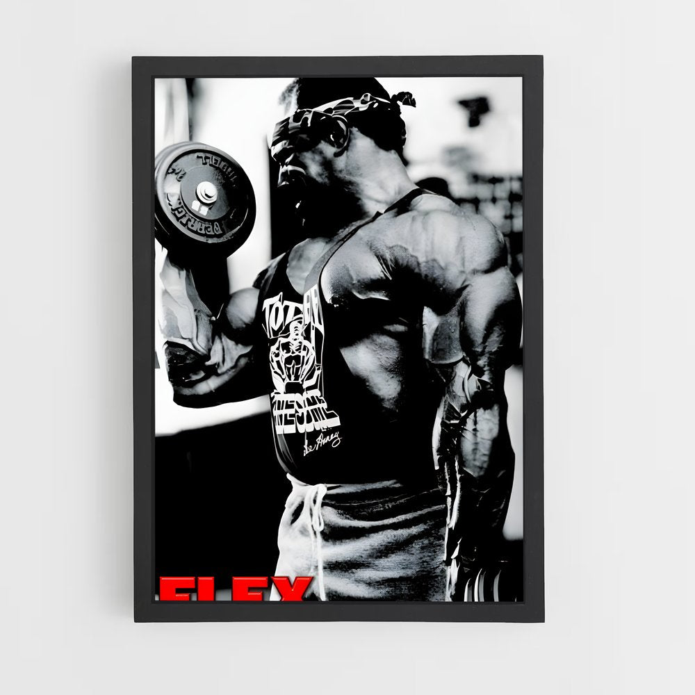 ap-lee haney-4 cadre Noir