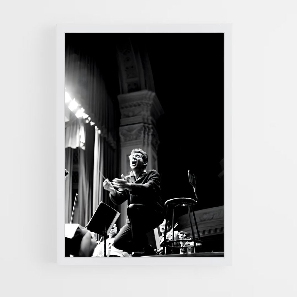 ap-leonard bernstein-3 cadre Blanc