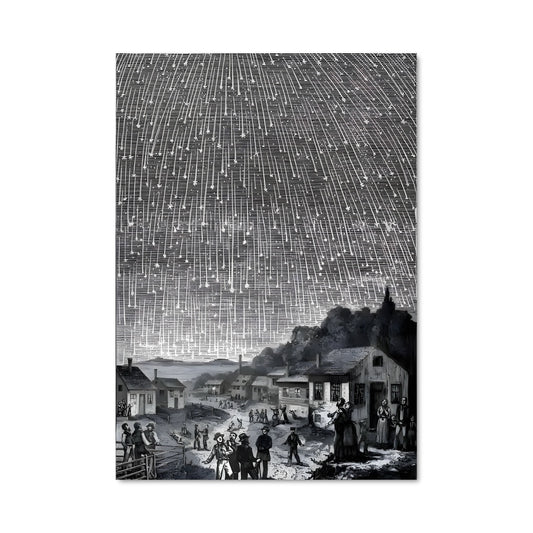 Poster Leonids 98145