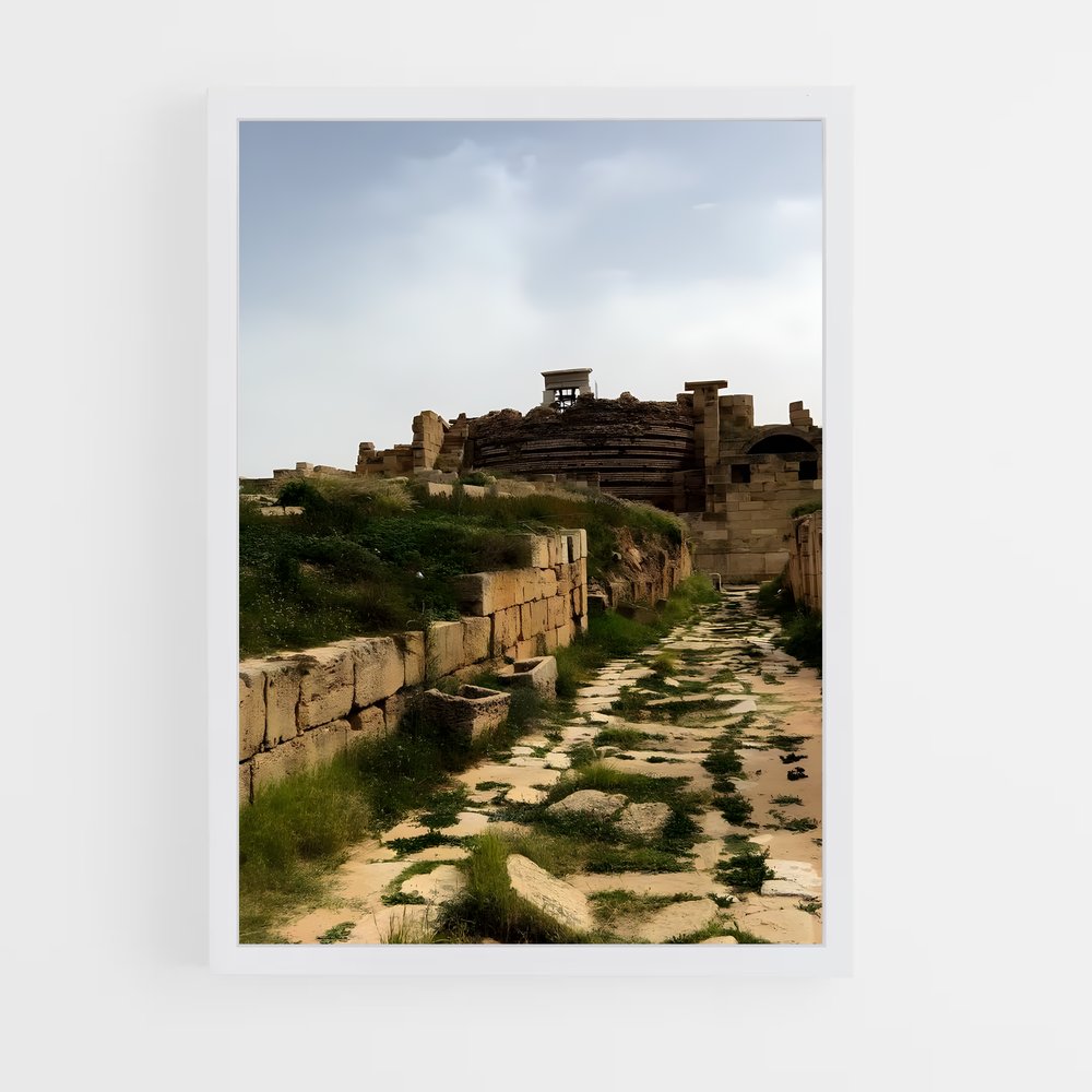 ap-leptis magna-3 cadre Blanc