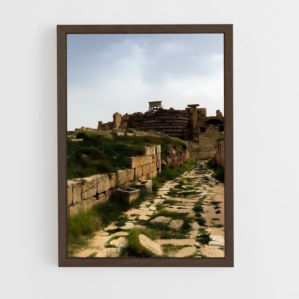 ap-leptis magna-3 cadre Bois foncé