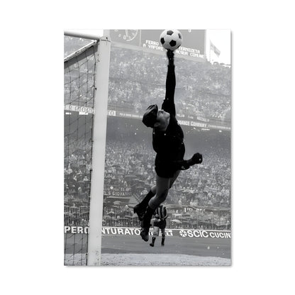 Poster L'Attrapeur de Ballons