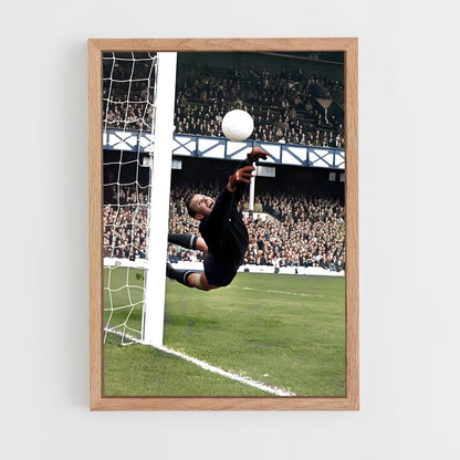 ap-lev yashin-5 cadre Bois clair