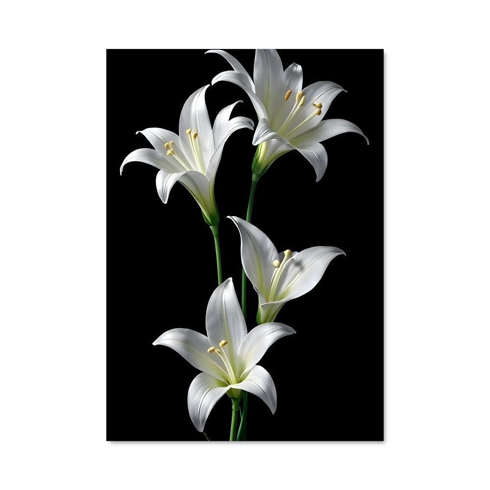Poster Lily 96639