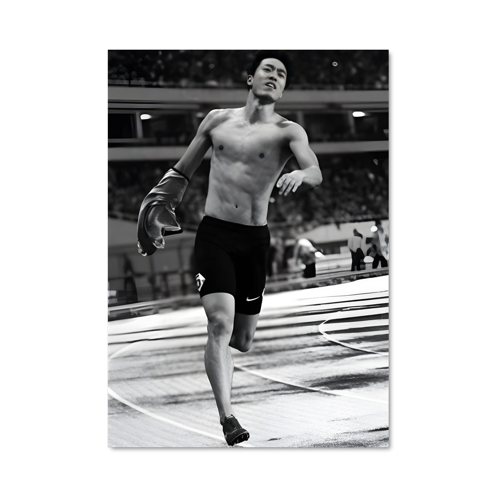 Poster Liu xiang 64345