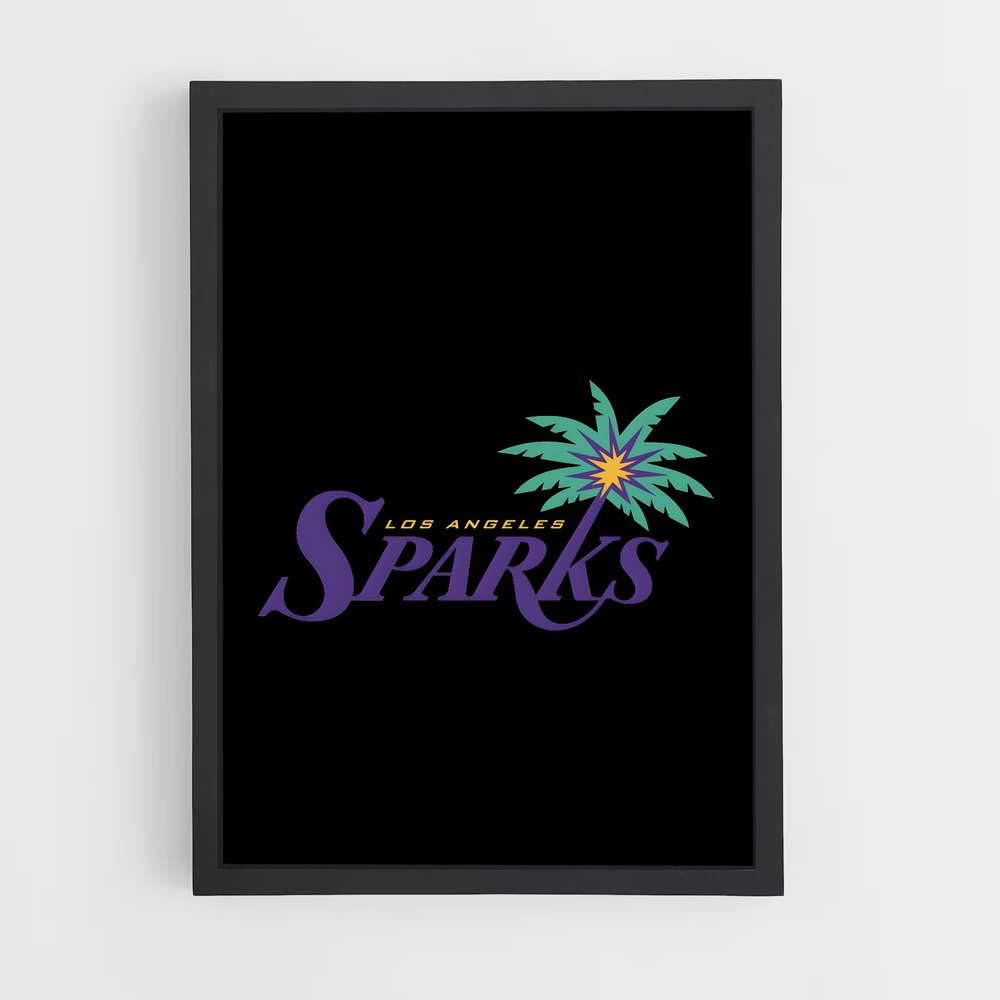 ap-los angeles sparks-4 cadre Noir