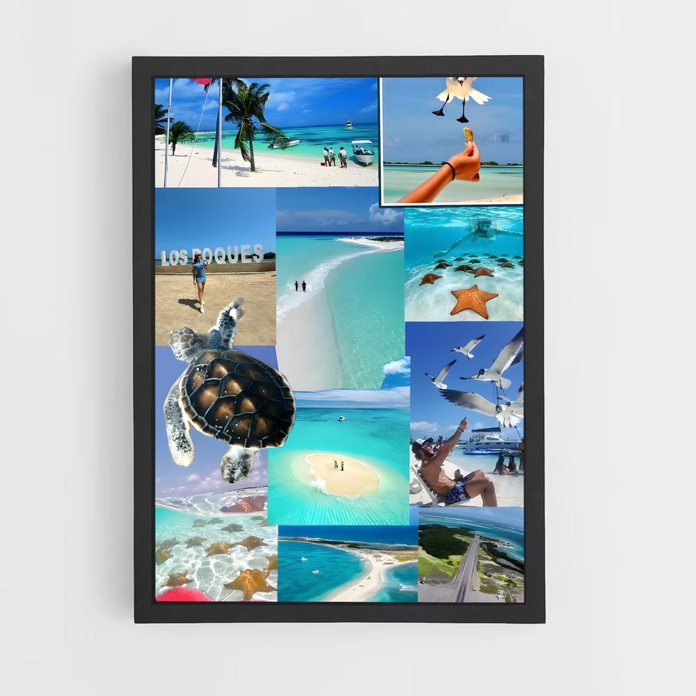 ap-los roques-3 cadre Noir