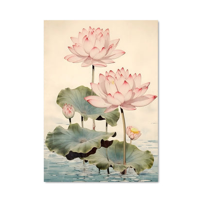 Poster Harmonie Aquatique