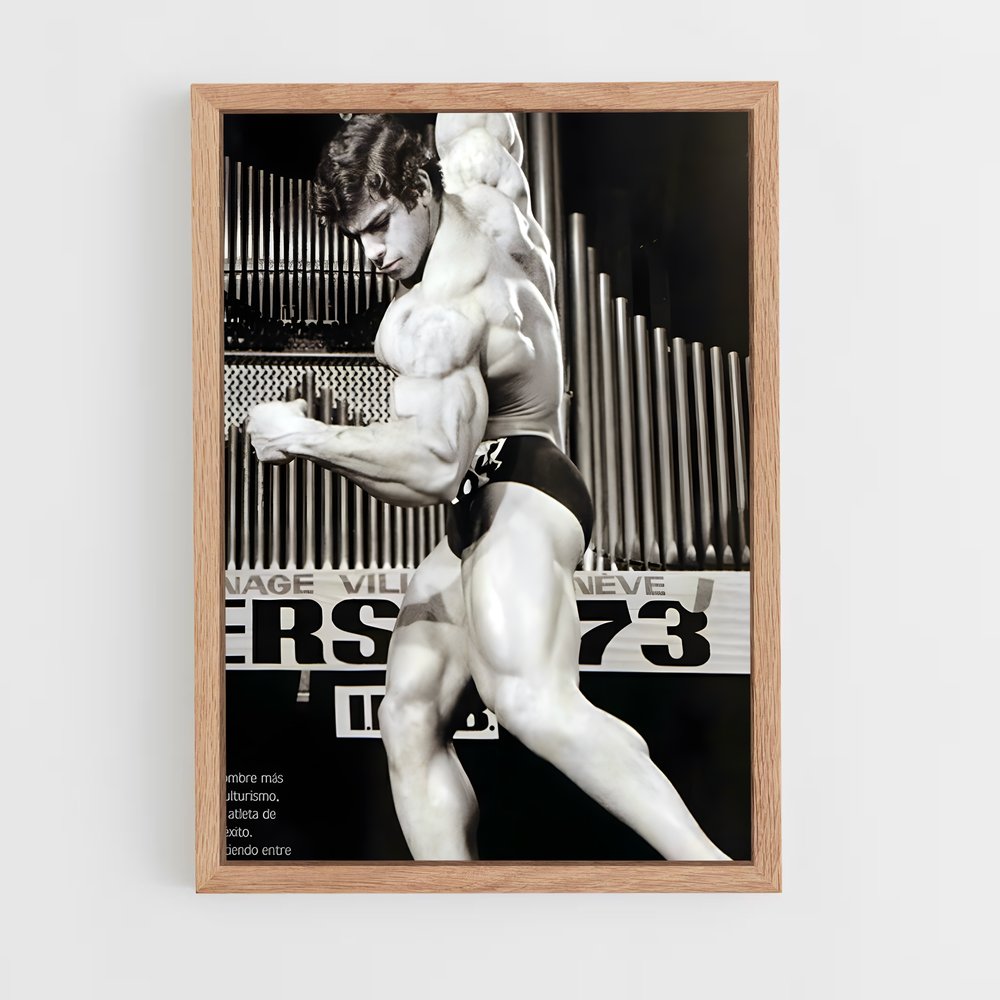 ap-lou ferrigno-1 cadre Bois clair