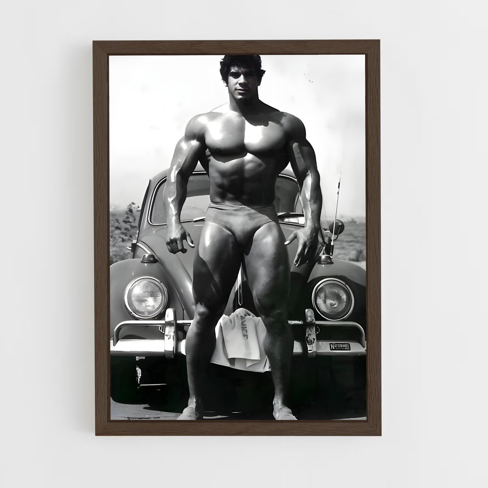 ap-lou ferrigno-3 cadre Bois foncé