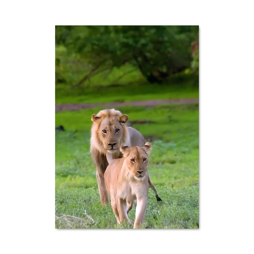 Poster La Ruée Sauvage