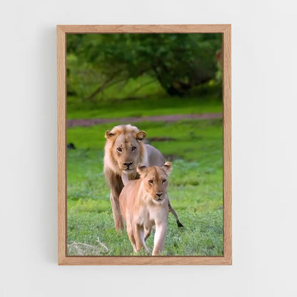 ap-luangwa river valley-2 cadre Bois clair