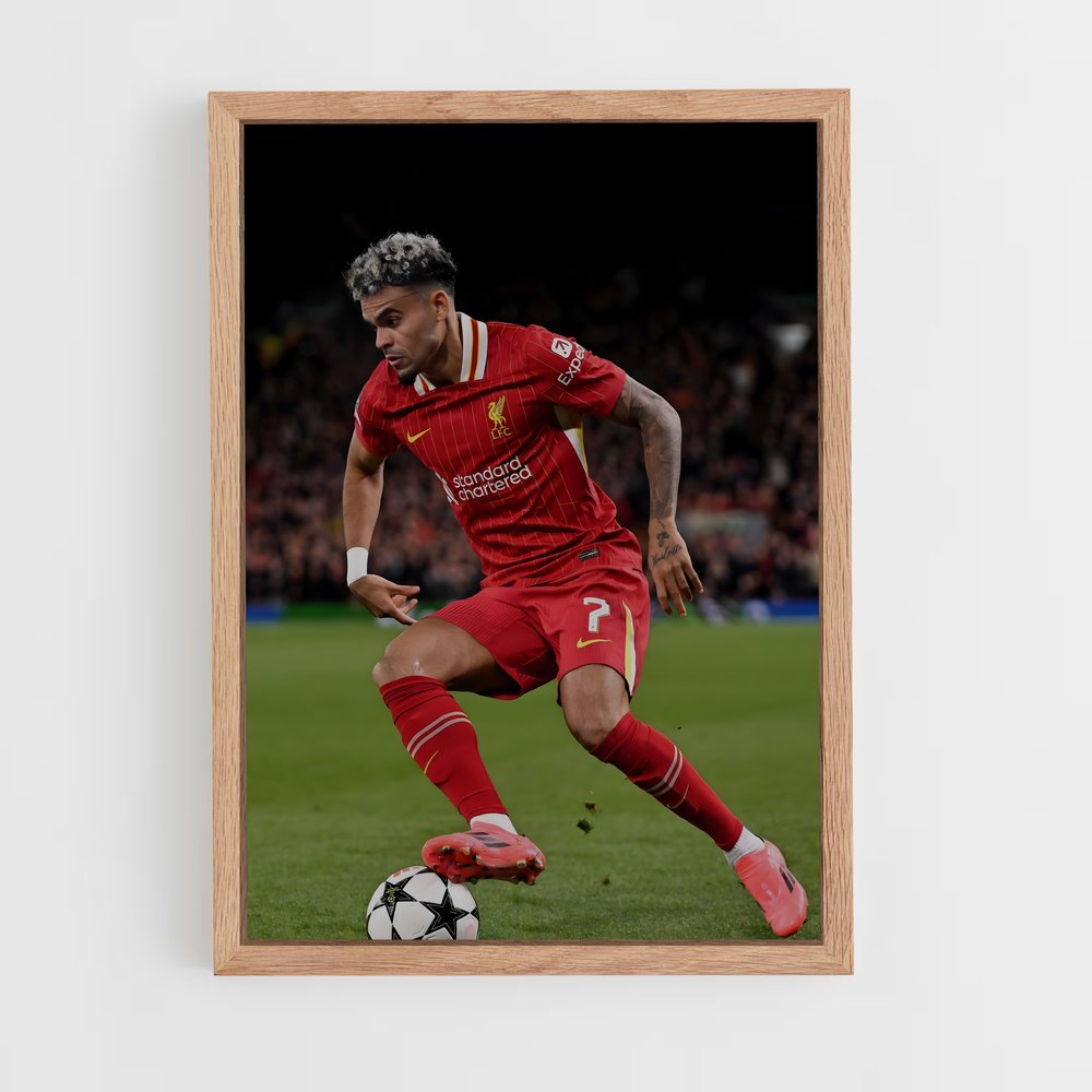 ap-luis diaz-1 cadre Bois clair