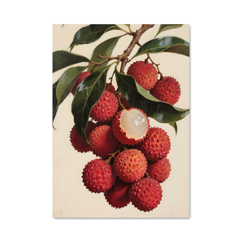 Poster Baies de Lychee