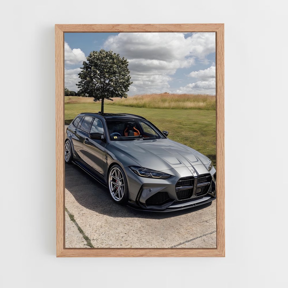 ap-m3 touring-2 cadre Bois clair