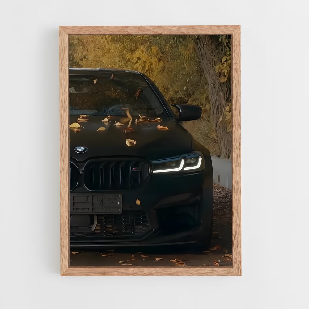 ap-m5 competition-4 cadre Bois clair