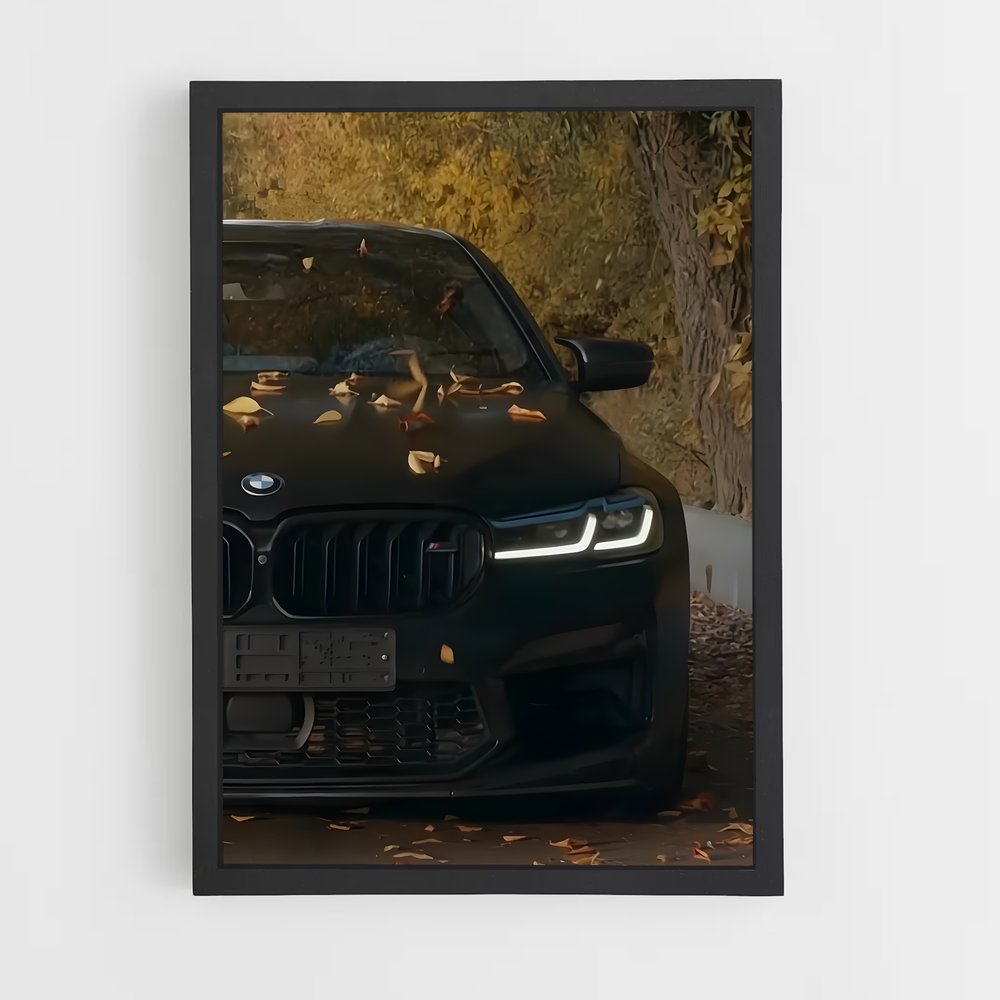 ap-m5 competition-4 cadre Noir