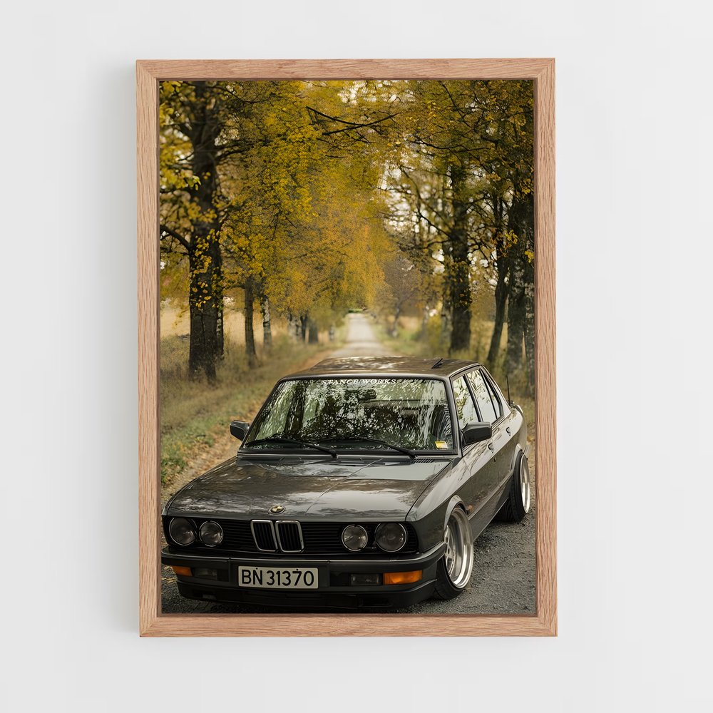 ap-m5 e28-1 cadre Bois clair