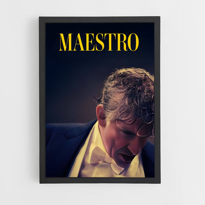 ap-maestro-6 cadre Noir