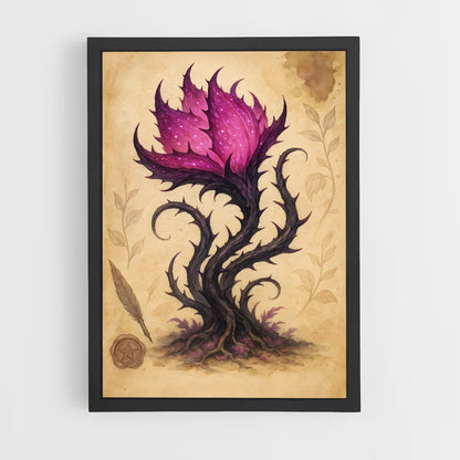 ap-magic mushroom-13 cadre Noir