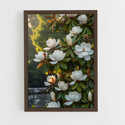 ap-magnolia-1 cadre Bois foncé