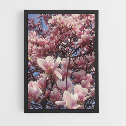 ap-magnolia-5 cadre Noir
