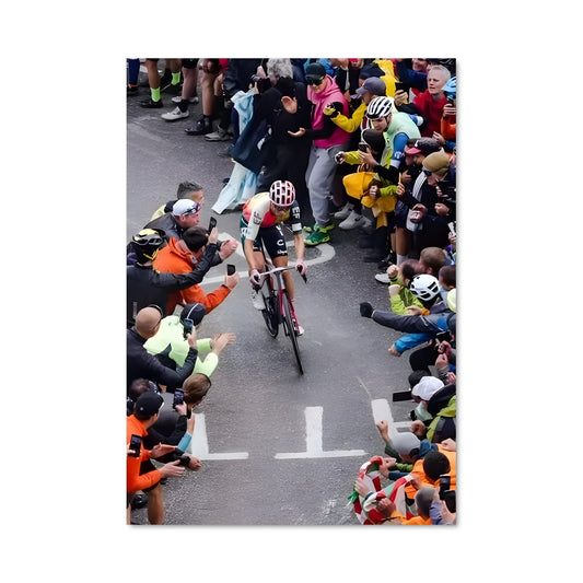 Poster Urban Cyclist