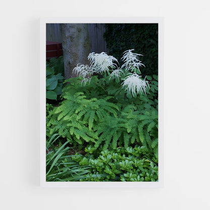 ap-maidenhair fern-4 cadre Blanc