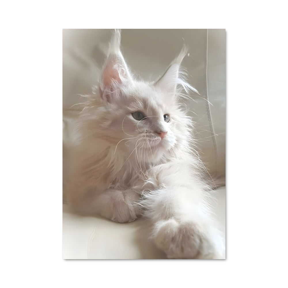 Poster Nuage Floconneux