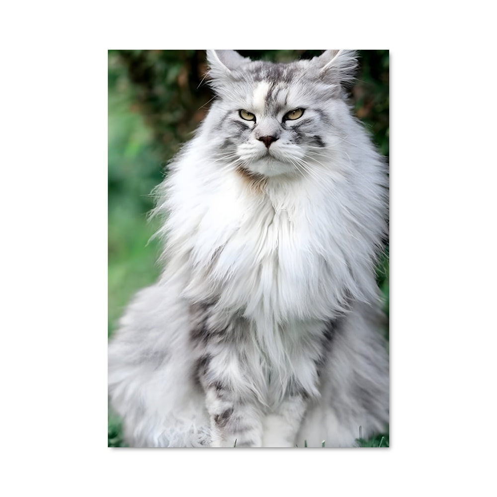 Poster Moustaches Émeraude