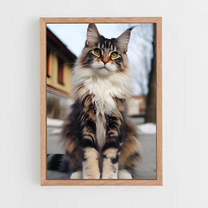 ap-maine coon-2 cadre Bois clair