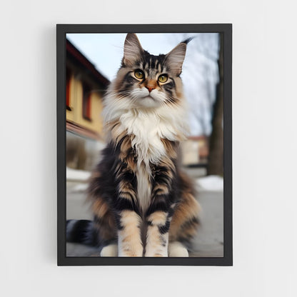 ap-maine coon-2 cadre Noir