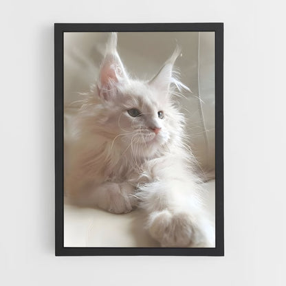 ap-maine coon-5 cadre Noir