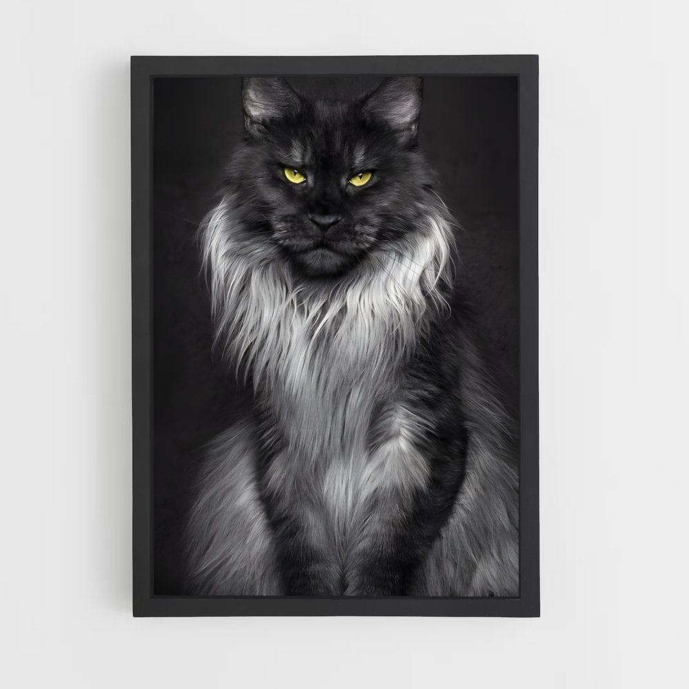 ap-maine coon-8 cadre Noir