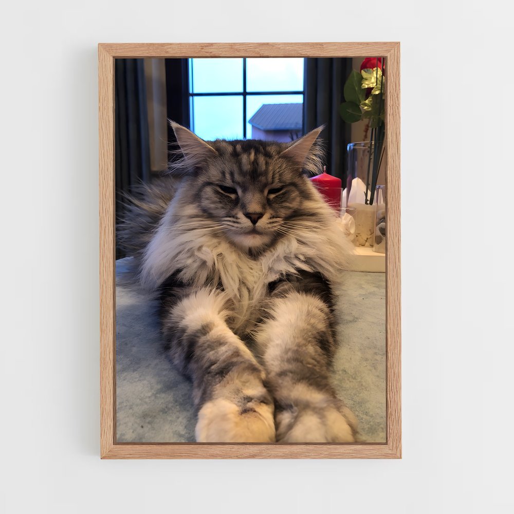 ap-maine coon-9 cadre Bois clair