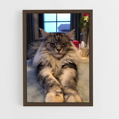 ap-maine coon-9 cadre Bois foncé