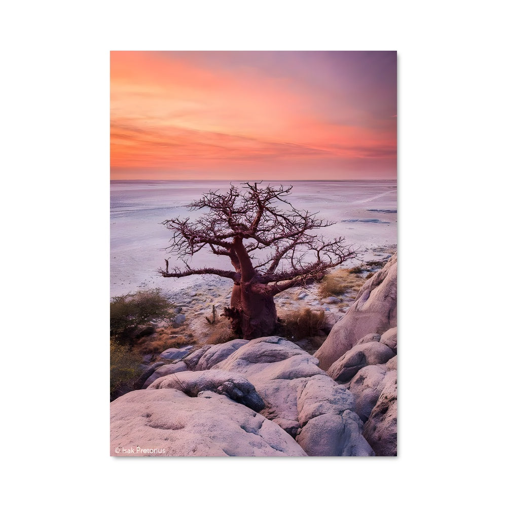 Poster Makgadikgadi pans 85967