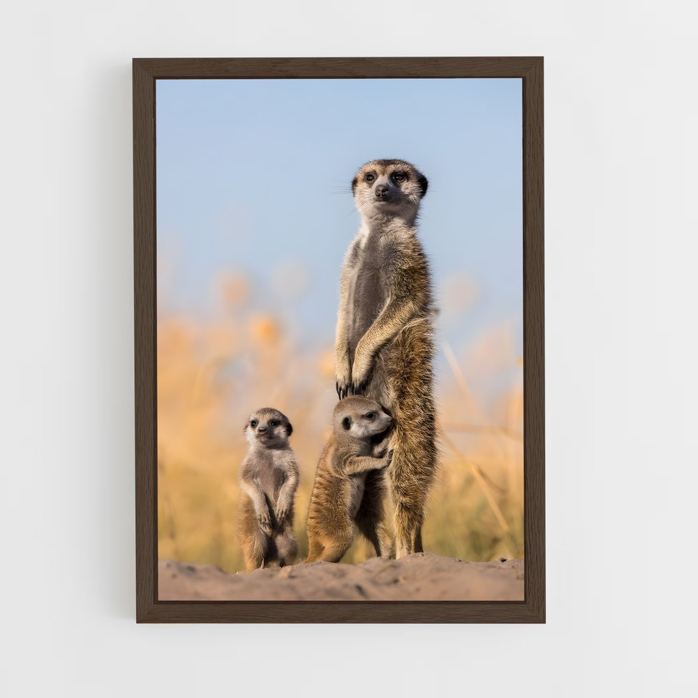 ap-makgadikgadi pans-6 cadre Bois foncé