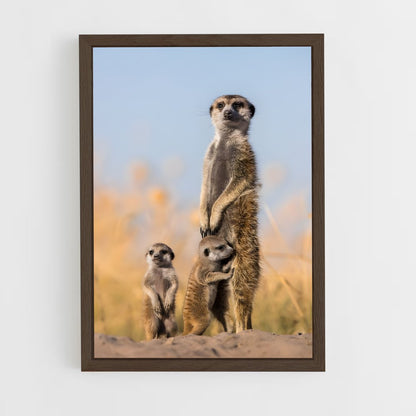 ap-makgadikgadi pans-6 cadre Bois foncé