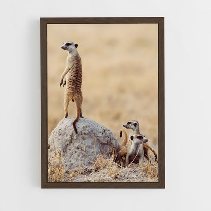 ap-makgadikgadi pans-8 cadre Bois foncé