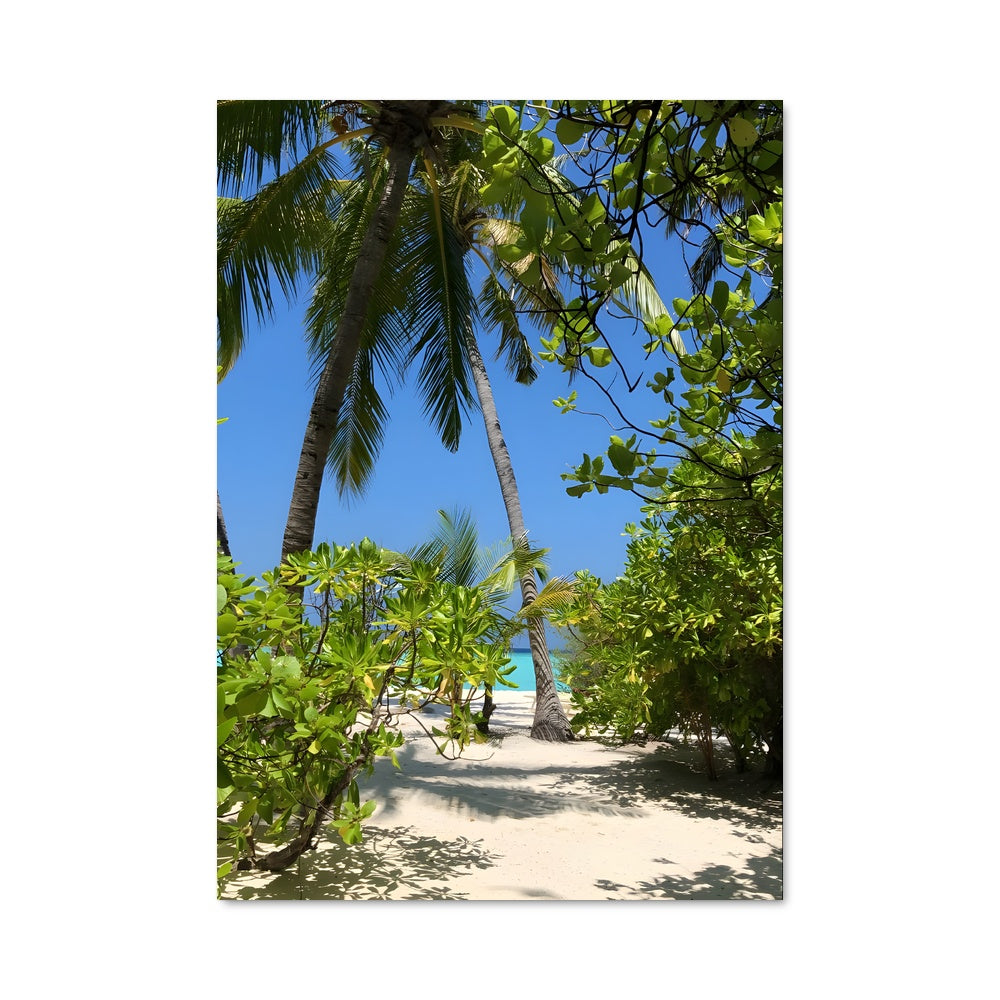 Poster Paradis Maldives