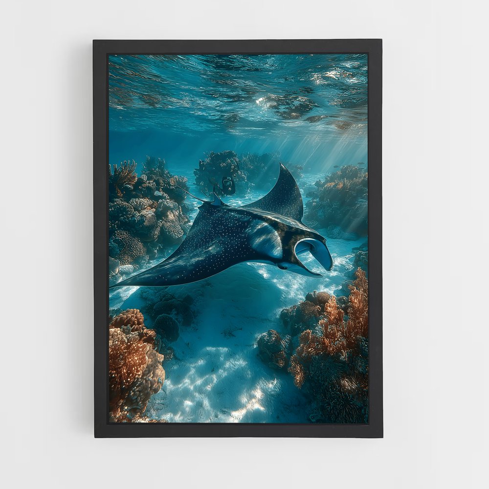 ap-maldives diving-7 cadre Noir