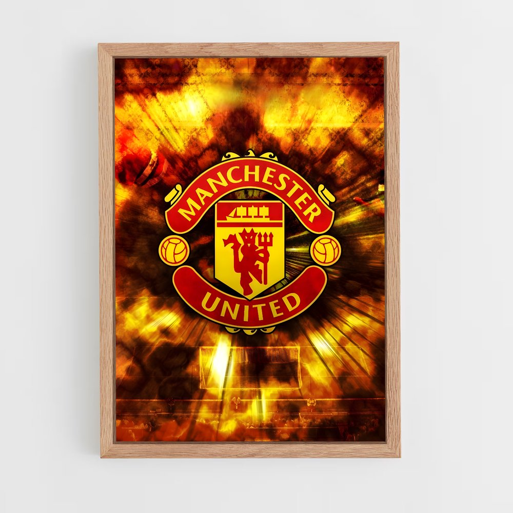 ap-manchester united fc-12 cadre Bois clair