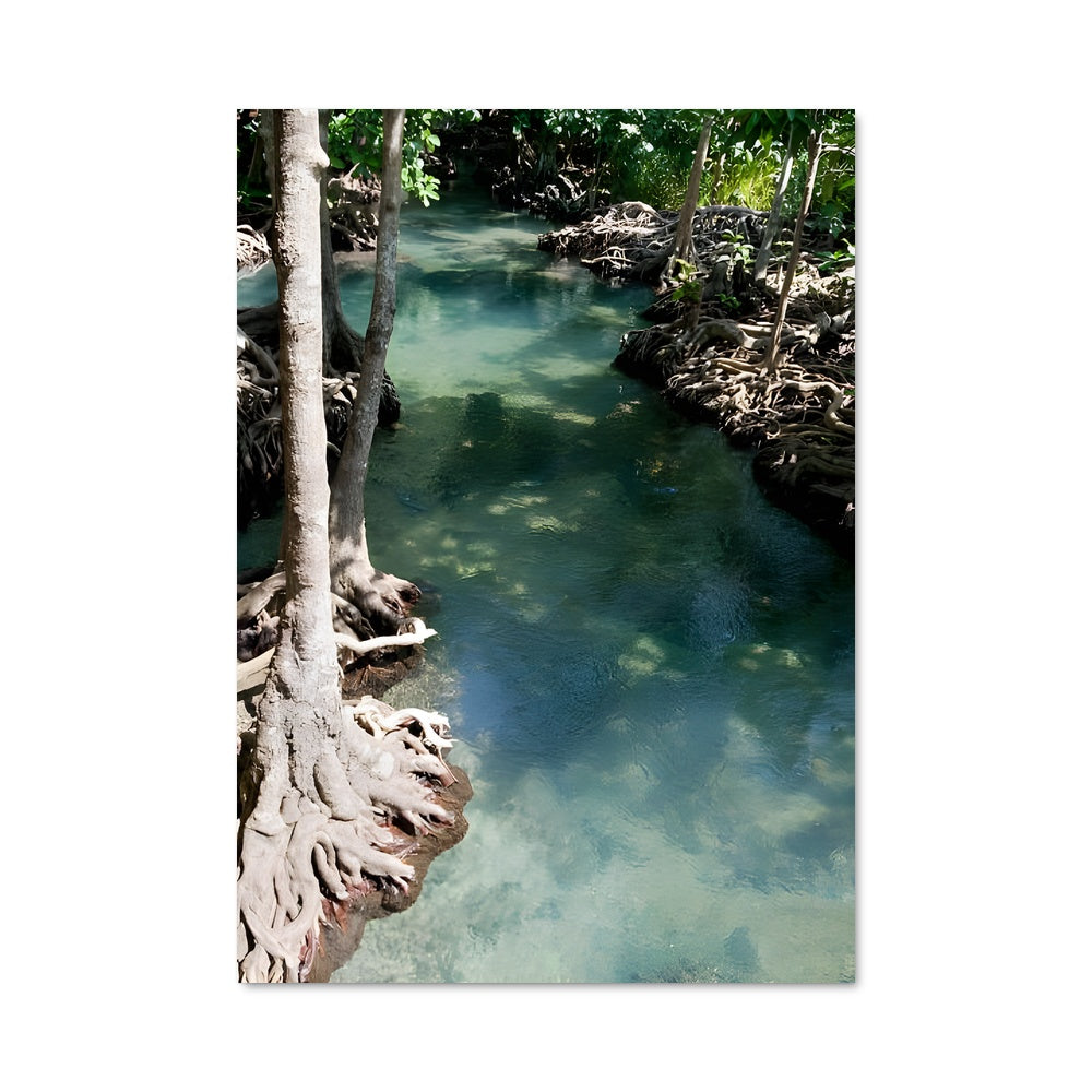 Poster Rivières Envoûtantes