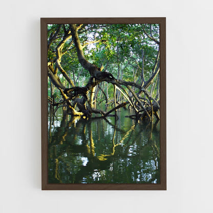 ap-mangrove-2 cadre Bois foncé