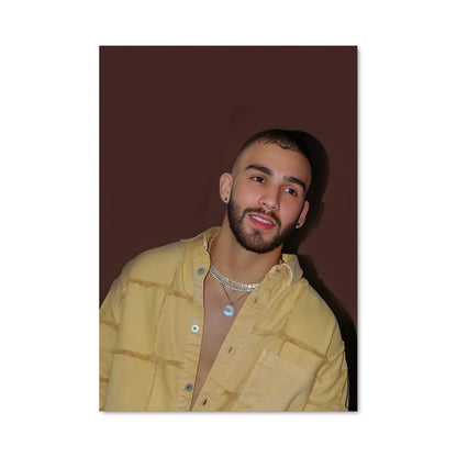 Poster Drake & Vibes
