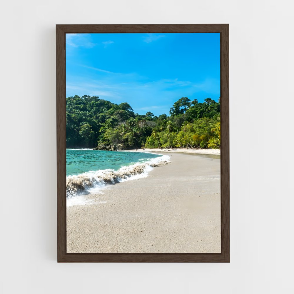 ap-manuel antonio beach-1 cadre Bois foncé